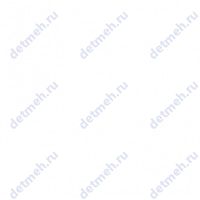 Чертеж подшипника NNU4920C1NAP4